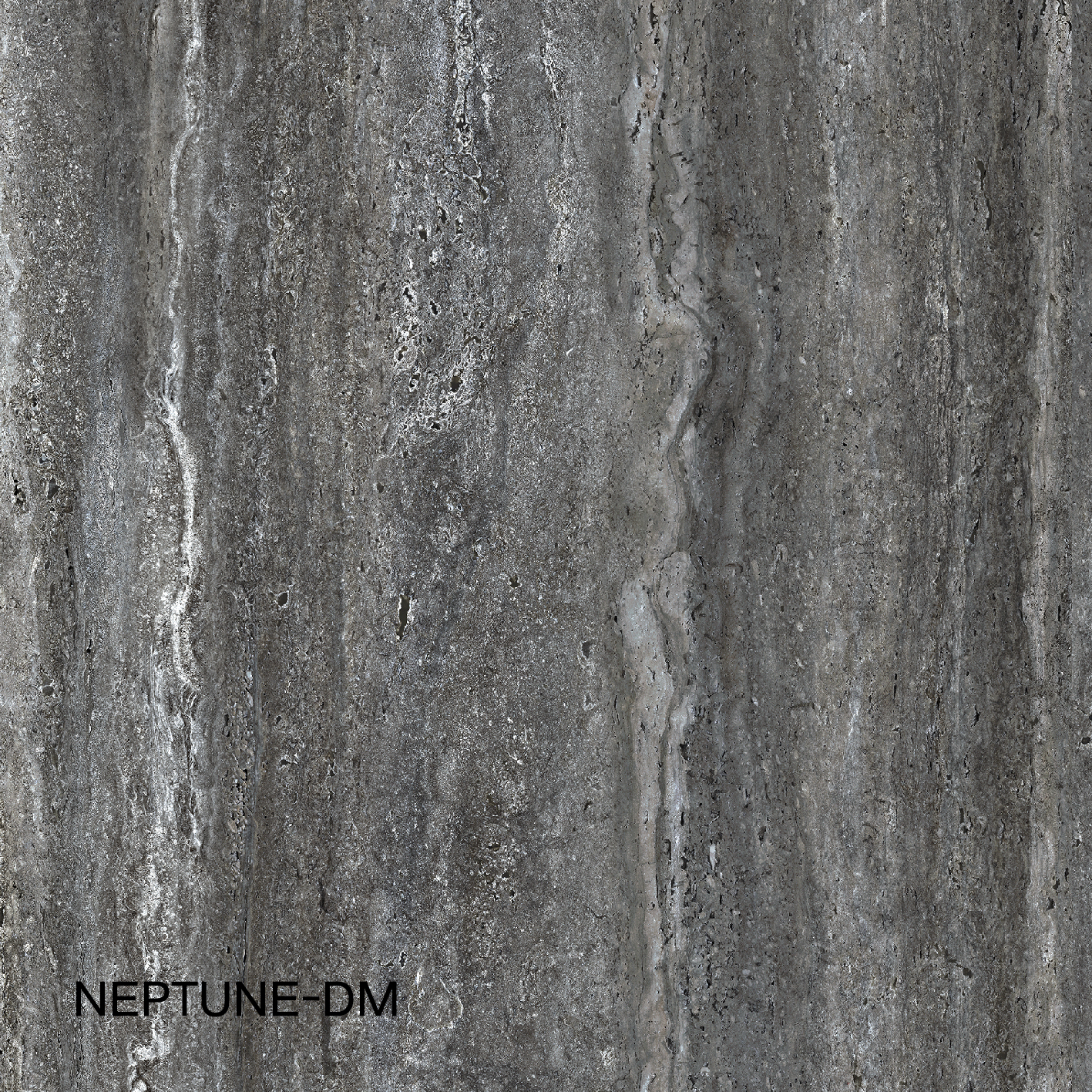 NEPTUNE-DM 9180